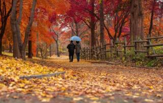 Cómo afrontar la vuelta al cole y a la rutina: claves para disfrutar del otoño