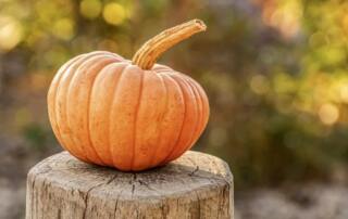 Hortalizas de temporada: recetas con calabaza para preparar en otoño